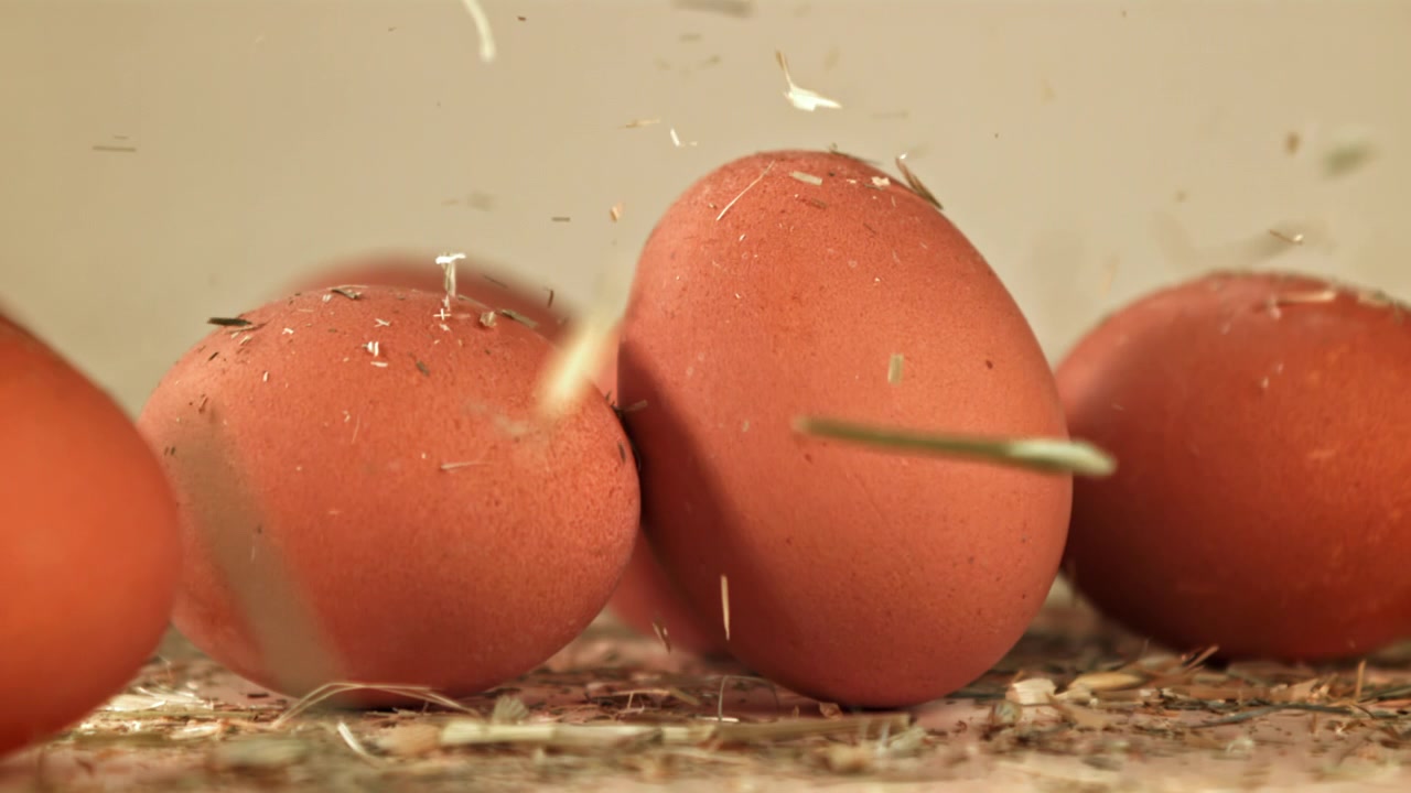 Slow Motion Hay Falling on Fresh Brown Eggs