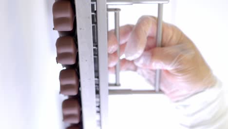 strawberry ice cream and heart-shaped berries covered in gourmet chocolate prepared in a factory