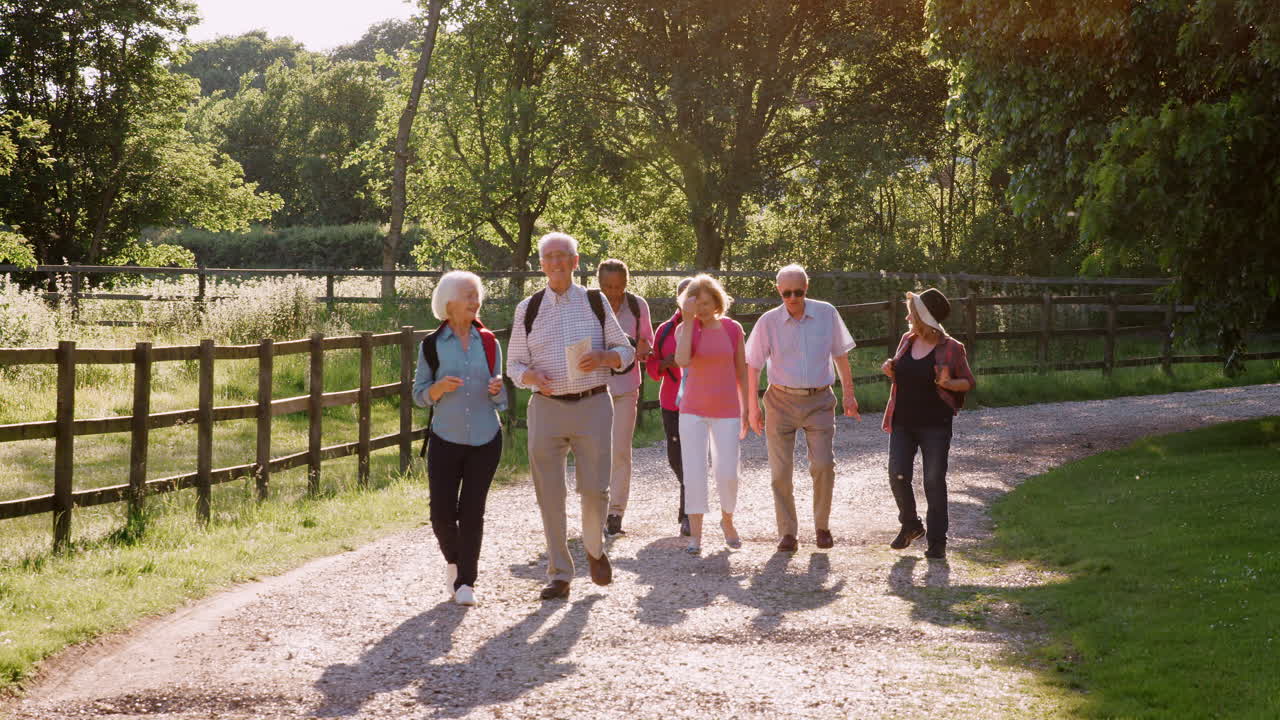 grupo de amigos mayores caminando juntos por el campo