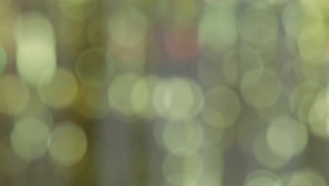 bokeh colorido
