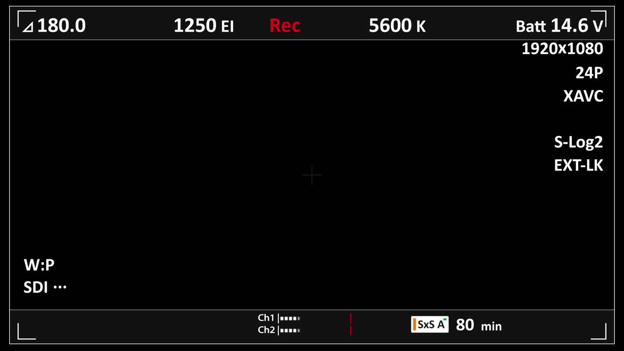 Digital Camera Viewfinder Display Showing Recording Status