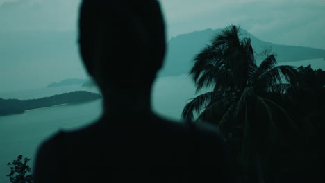 silhouette of a person overlooking a tranquil ocean vista with mountains in the background