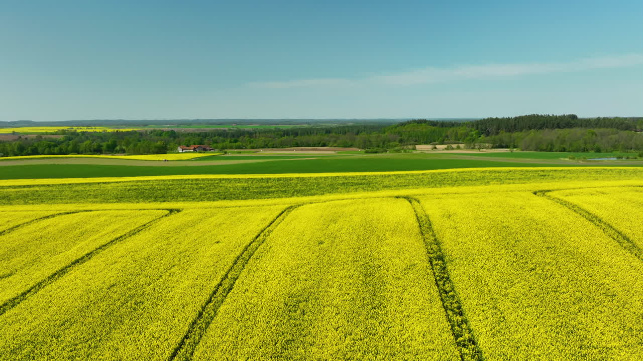 A wide shot of expansive fields with yellow and green crops stretching into the horizon, under a clear blue sky