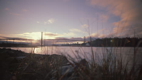 sunrise over lions gate bridge with grass in foreground