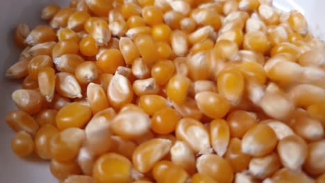 corn that falls into a white bowl until it is full