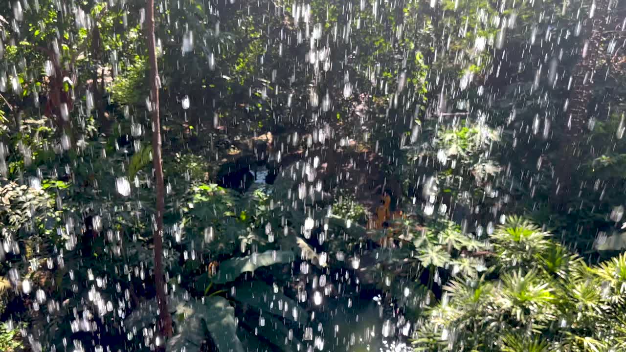Percikan air di taman botani yang rimbun dan hijau