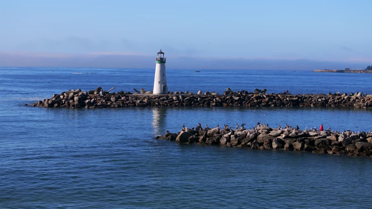 Walton Lighthouse Monterey Bay Santa Cruz California USA aerial drone scenic landscape deep blue Pacific Ocean seagull pelican birds marina harbor jetty morning blue sky mist fog static motion
