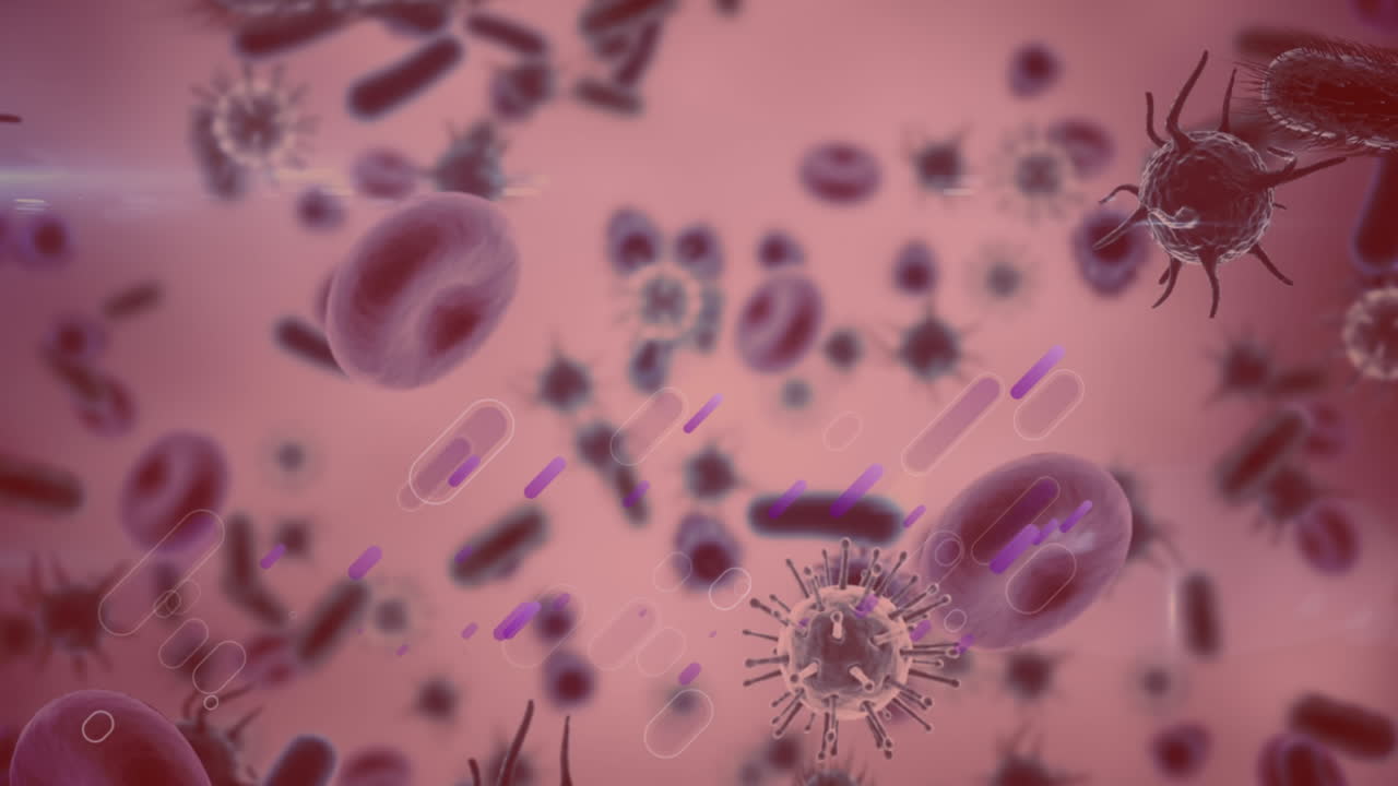 ⁇ 은 배경 위에서 움직이는 세포의 애니메이션