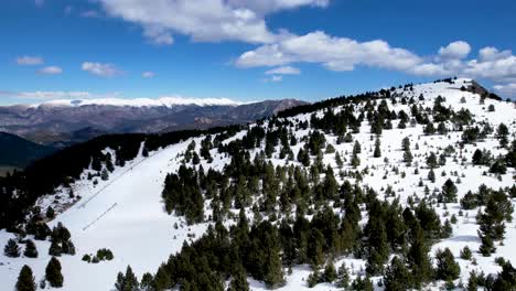 paisaje nevado en un día soleado de un bosque alpino en invierno visto desde un dron dji