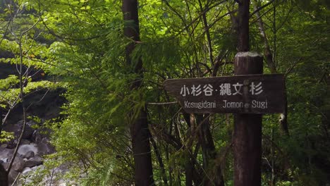 jomon sugi and kosugidani forest trail path sign, yaksuhima island japan