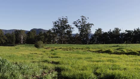 Kangaroo-Valley-pastures,-creek,-and-tree-line-in-western-Australia,-Locked-wide-shot