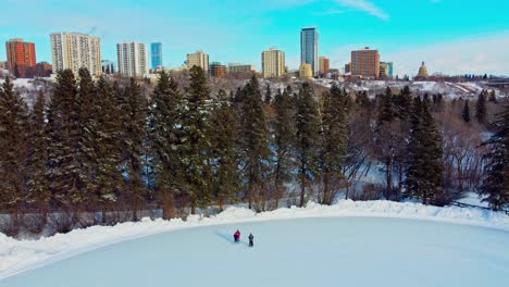 double date couple endure cold weather by warming up each other on manmade victoria park ice skating rink in the foreground with condominiums aprtments in the horizon behind tall pine tree snow edm2-4