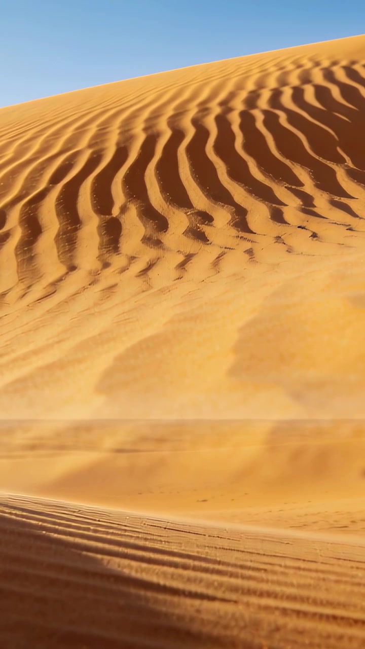 Video verticale: Panoramica della telecamera che rivela la cresta di una duna di sabbia increspata nel deserto, mostrando gli avvallamenti.