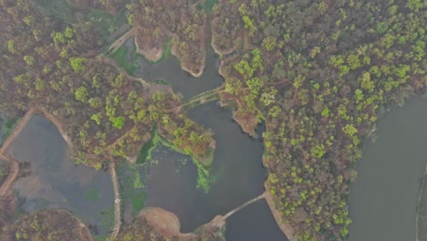 aerial footage of a drone slowly rising above vast scenic wetlands, capturing serene landscapes, marsh patterns, and untouched nature from an elevated perspective