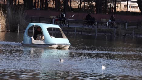 people enjoying a pedal boat ride on water