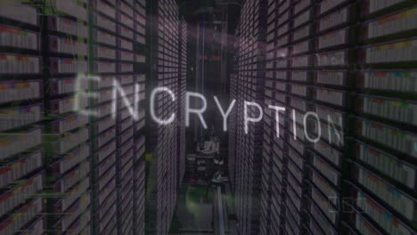 animación del texto de cifrado, los códigos binarios y el patrón de la placa de circuitos en la sala del servidor
