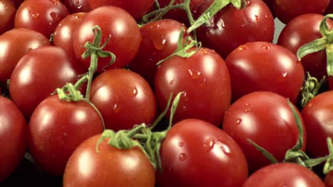 close-up and detailed shot pile of fresh tomato