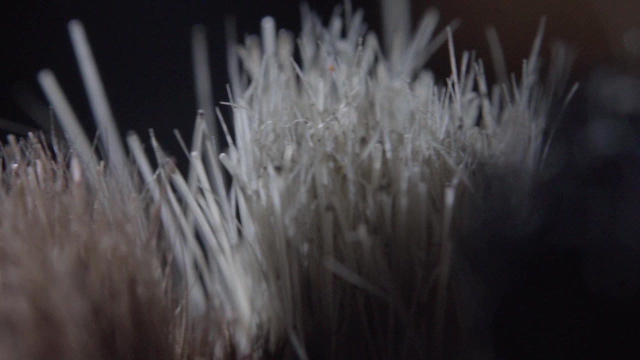 Plan macro panoramique sur des poils fins mettant en évidence des fibres denses, des motifs linéaires et une texture abstraite avec un mouvement de caméra fluide sur un fond sombre