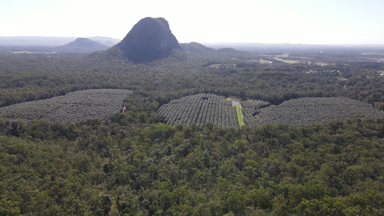 Drone Aerial moving forward and panning down over crops in the Glasshouse Mountains