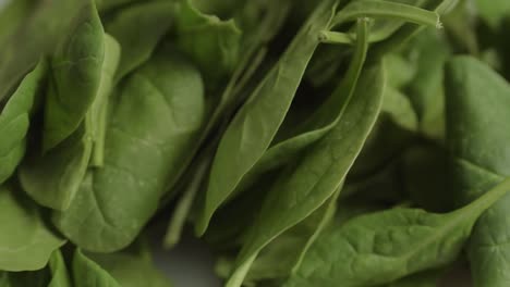 serving of fresh green spinach leaves pan shot
