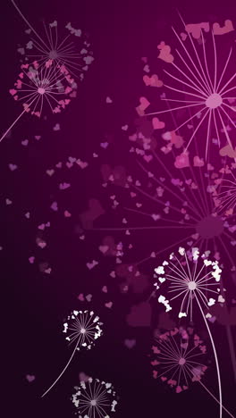 loop animation dandelion time. hearts dandelion seeds blowing in the wind on dark purple spring background. vertical video.