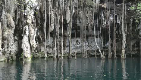 cenote 01