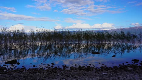 Schilf-Am-Ufer-Eines-Ruhigen-Sees-Mit-Kristallklarem-Wasser,-Das-Weiße-Wolken-Und-Blauen-Himmel-Reflektiert