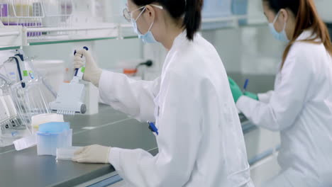 Biotechnology Researcher performing a biological experiment on Cell Culture essay with multichannel pipette in sterile environment of designated biosafety laboratory at research facility