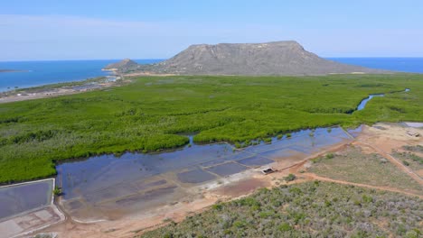 Toma-Aérea-Ascendente-Que-Muestra-Un-Hermoso-Paisaje-Con-Manglares-Verdes,-Montañas-Gigantes-Y-Mar-Caribe-En-El-Fondo---San-Fernando-De-Monte-Cristi,-República-Dominicana