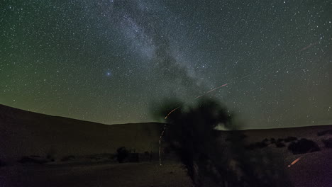 lapso de tiempo de arbusto sacudido por el viento e iluminado por destellos de relámpagos con rastro de estrellas y vía láctea moviéndose en el cielo en segundo plano