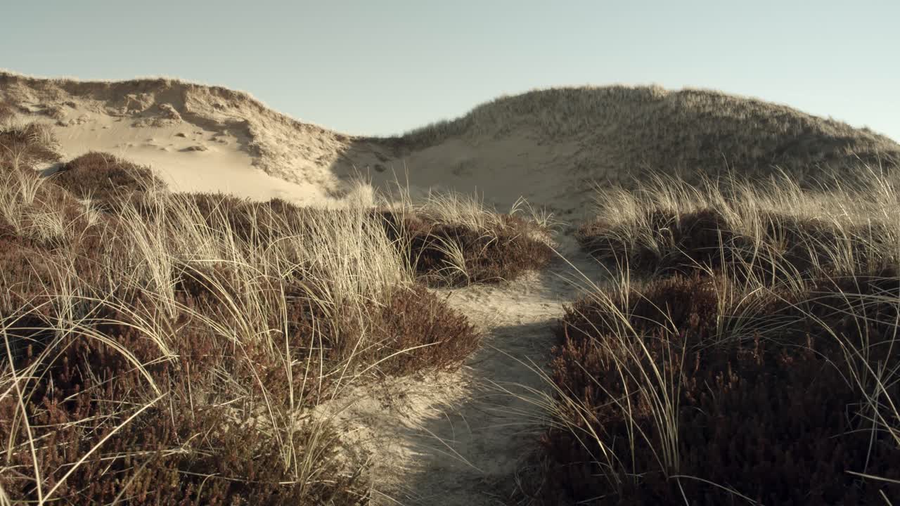 Paesaggio di dune a Sylt in una giornata ventosa