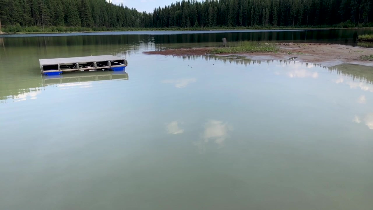 Vacker sjö med träd som avslöjas i en uppåtgående rörelse
