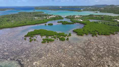 mangroves and seaside colourful scenery, beautiful exotic nature of vavau, tonga