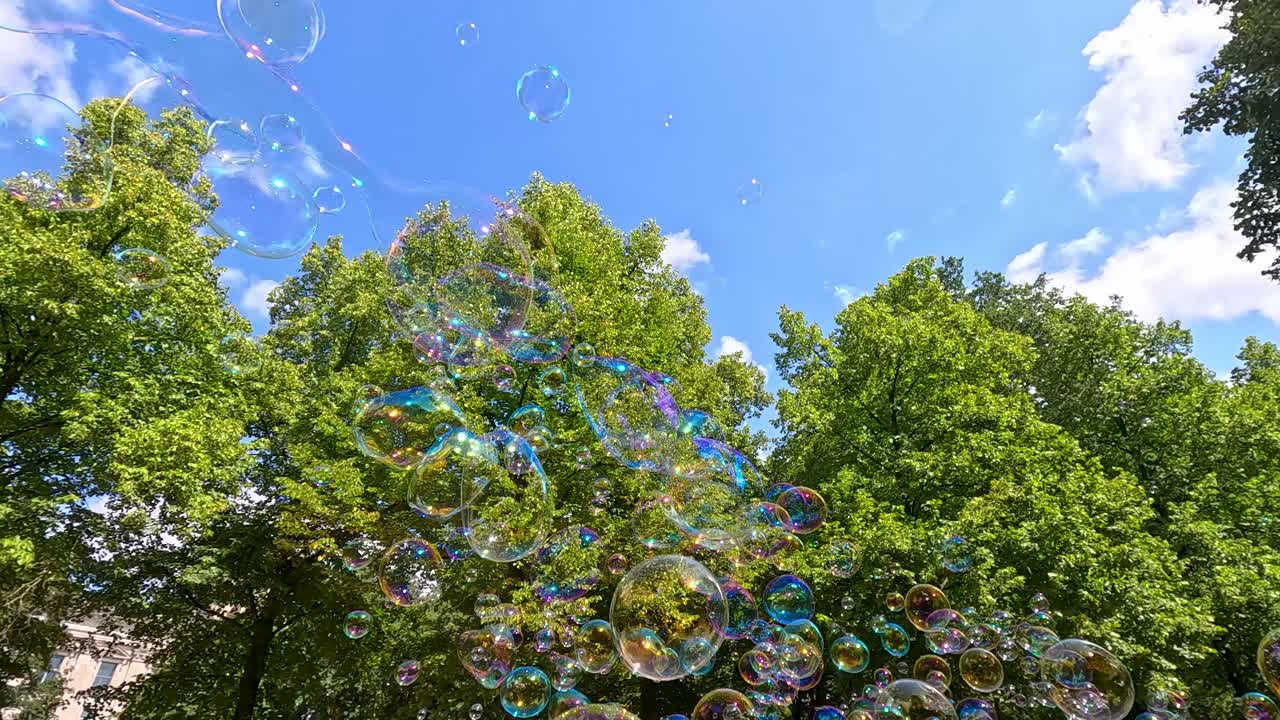 Multiple iridescent soap bubbles drift upward against a backdrop of green trees and blue sky, captured in a wide, upward-facing shot with natural daylight