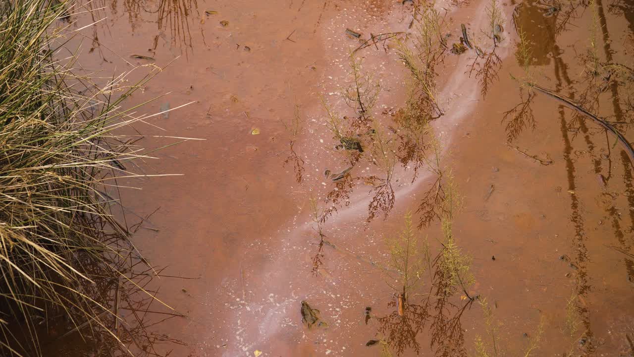 lecho de río fangoso de 4k en marea baja con un poco de agua que fluye río abajo hacia el océano