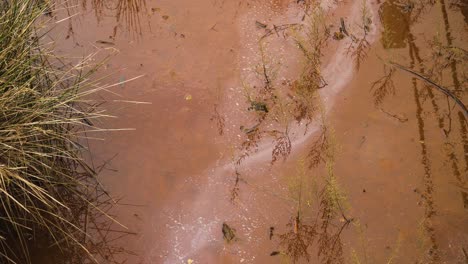 4k-Schlammiges-Flussbett-Bei-Ebbe-Mit-Etwas-Wasser,-Das-Den-Fluss-Hinunter-Zum-Ozean-Fließt