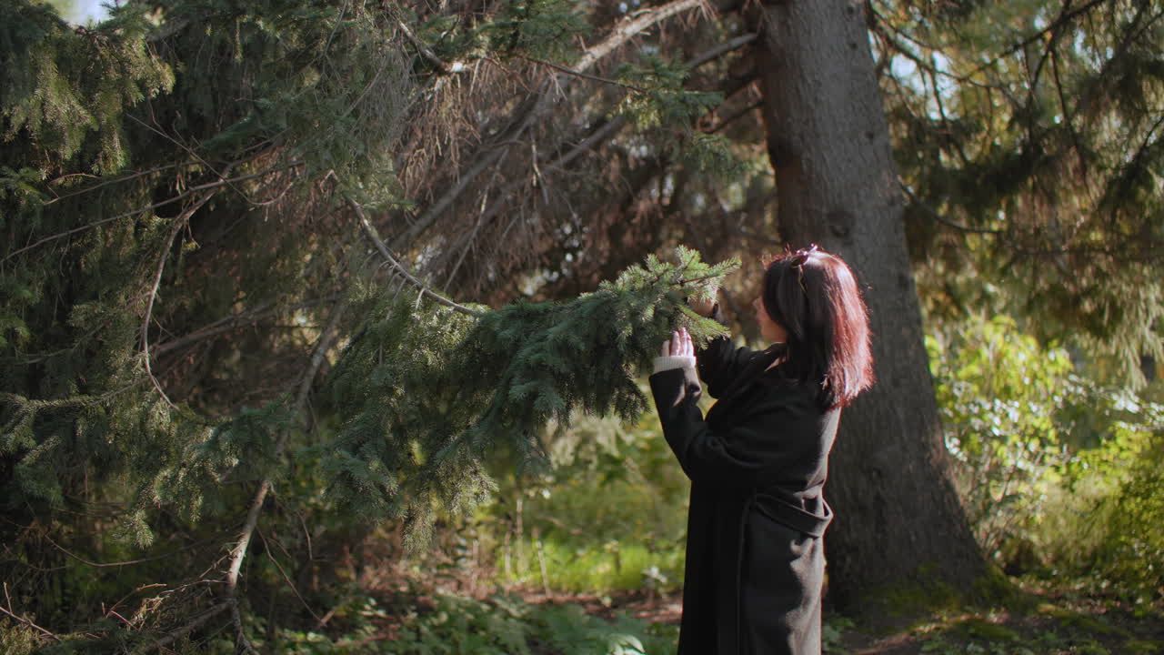 세련된 여성이 소나무 가지를 들고 가을 햇살 아래서 잎을 감상하는 모습을 확대 촬영, 숲 속에서 부드러운 보케 나뭇잎을 배경으로 은은한 포즈를 취하며 조용한 산책 중에 자연과의 평온한 교감을 담아냈어요.