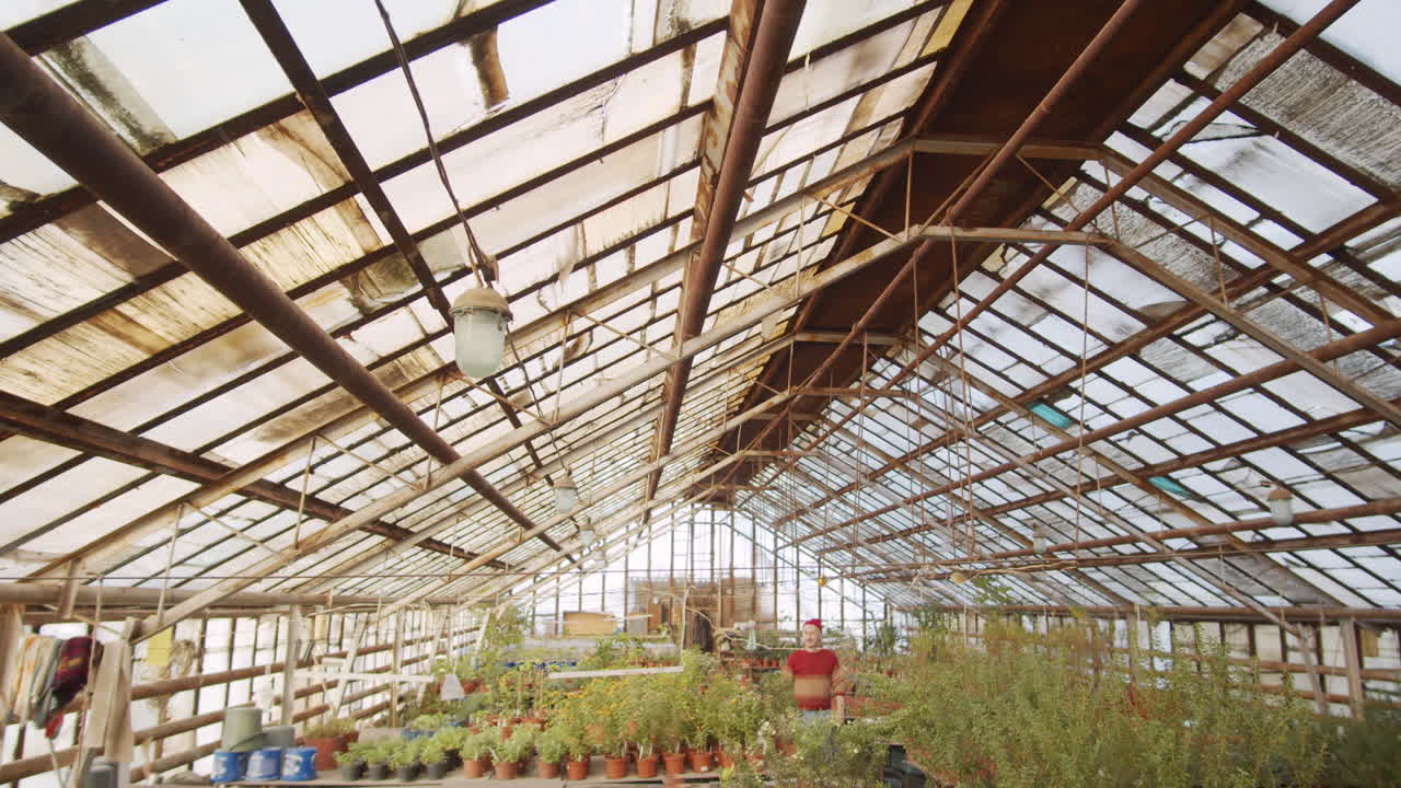 꽃 온실 을 걸어다니는 고위 노동자