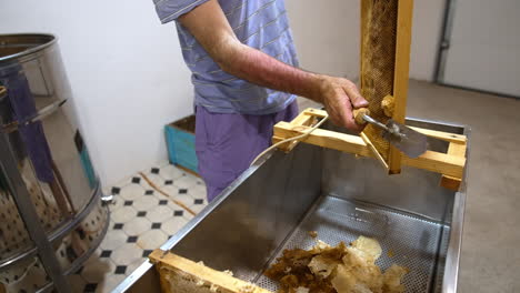 beekeeper harvesting honeycomb