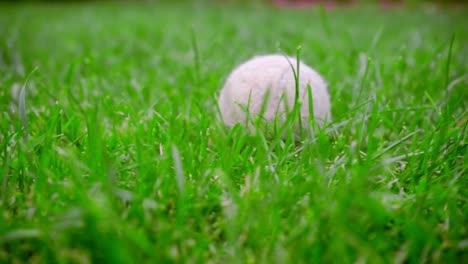 Primer-Plano-De-Una-Pelota-De-Tenis-Sobre-La-Hierba-Verde.-Cerca-De-La-Hierba-Blanca-De-Pelota-De-Tenis