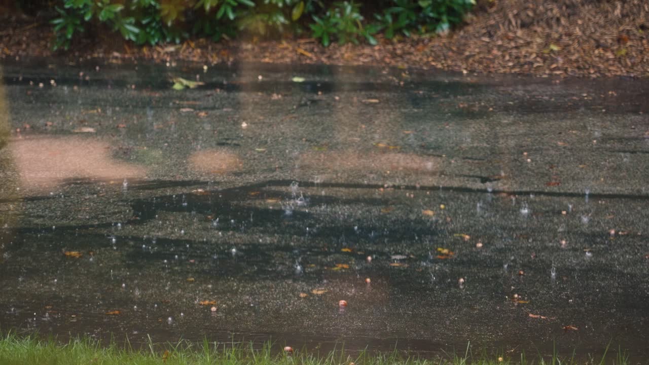 Speed ramped clip for dramatic effect of rainfall.