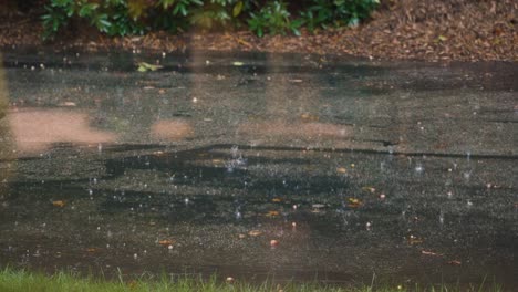 speed ramped clip for dramatic effect of rainfall.
