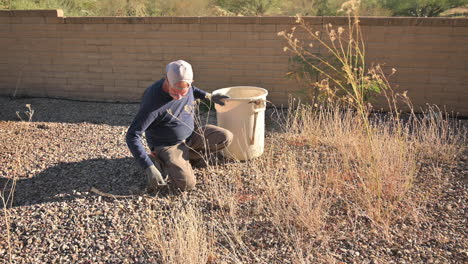 gardener pulls weeds and puts them into a bucket