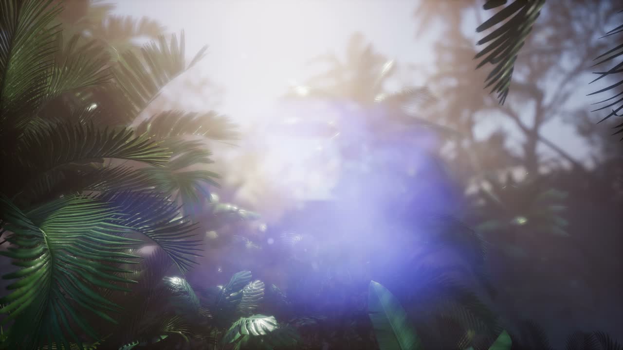 ⁇ 나무 를 가로지르는 해 가 지는 광선