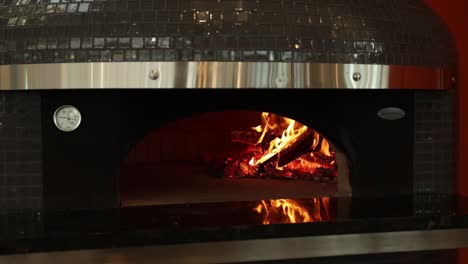 wood-fired pizza oven