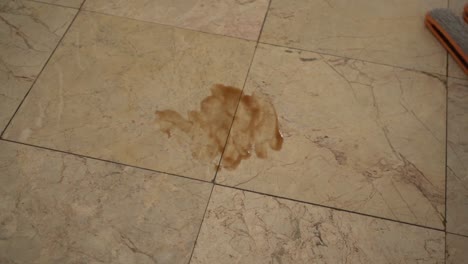 limpie el ketchup en el piso de baldosas con un trapeador