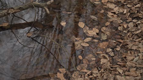 Slow-motion-stock-footage-of-calm-water-and-lakes-rippling