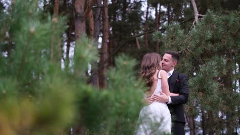 Young Couple on their Wedding Day Walking in a Pine Park Young Couple on their Wedding Day Walking in a Pine Park Bride and Groom Outdoors in the Woods