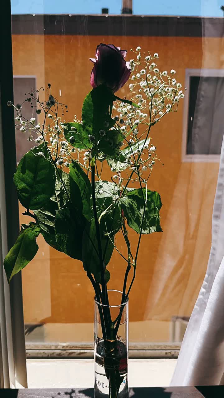 rosas púrpuras y blancas en un jarrón junto a una ventana