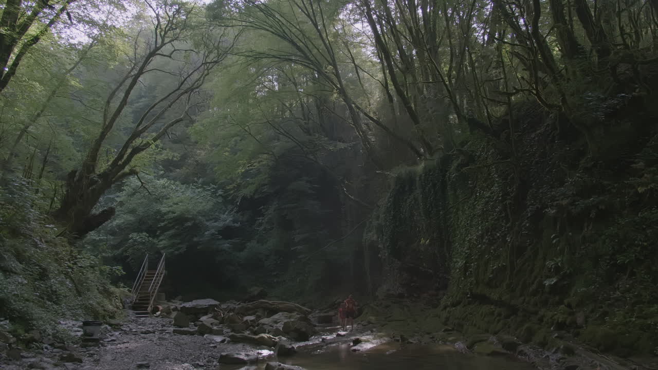 sendero forestal de senderismo junto a un arroyo